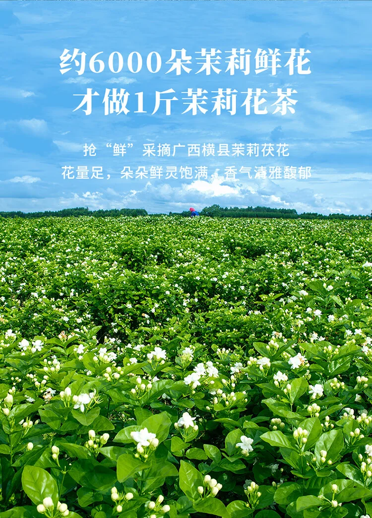 【中国直邮，时效10-15天】八马茶业茉莉花茶礼盒装168g 马到成功五星 茶叶送礼送长辈送友人 detail image 3