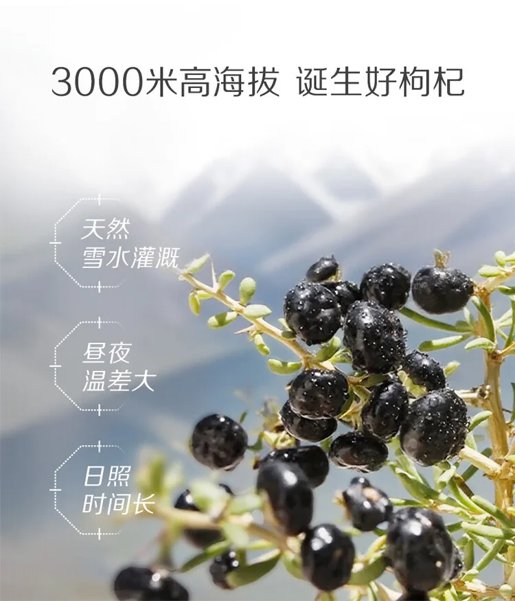 【中国直邮，时效7-15天】百瑞源枸杞 青海黑枸杞 正品宁夏特级黑枸杞礼盒240g 小袋独立包装茶包 详情图 5