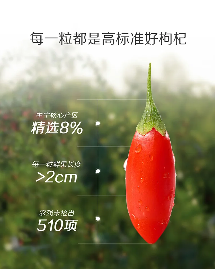【中国直邮，时效7-15天】百瑞源枸杞 宁夏枸杞 特优级锁鲜枸杞子80g*2罐 宁夏枸杞中的珍品 详情图 8