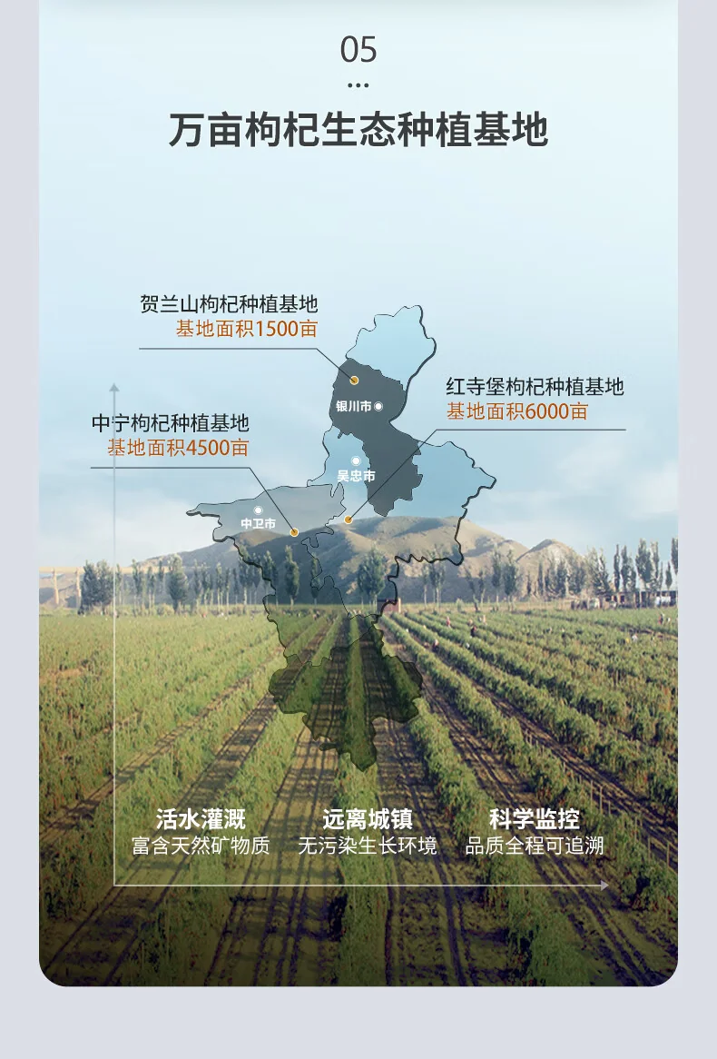 【中国直邮，时效7-15天】百瑞源枸杞 宁夏枸杞 特级优中宁红枸杞216g*3袋 共648g 独立小包装枸杞子 详情图 12