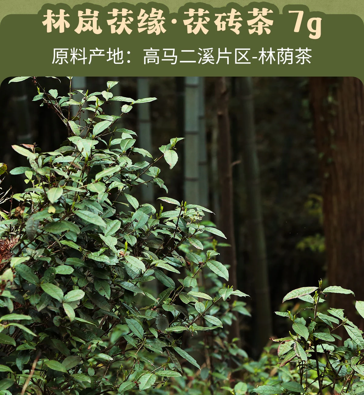 白沙溪 大荒之美 安化黑茶八合一品鉴合集 皇家溪全明星系列  7克*10袋 详情图 2