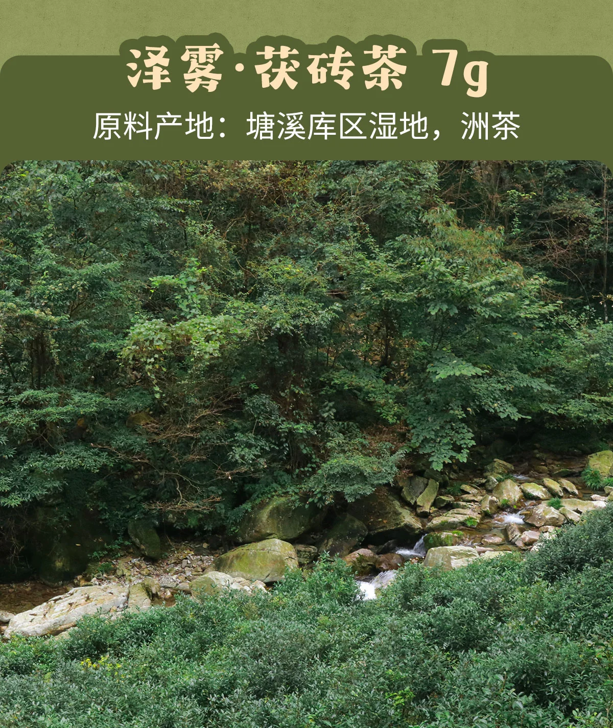 白沙溪 大荒之美 安化黑茶八合一品鉴合集 皇家溪全明星系列  7克*10袋 详情图 4