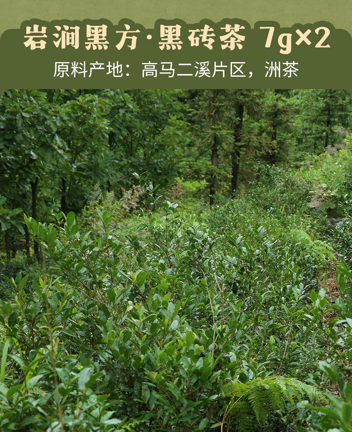 白沙溪 大荒之美 安化黑茶八合一品鉴合集 皇家溪全明星系列  7克*10袋 详情图 10