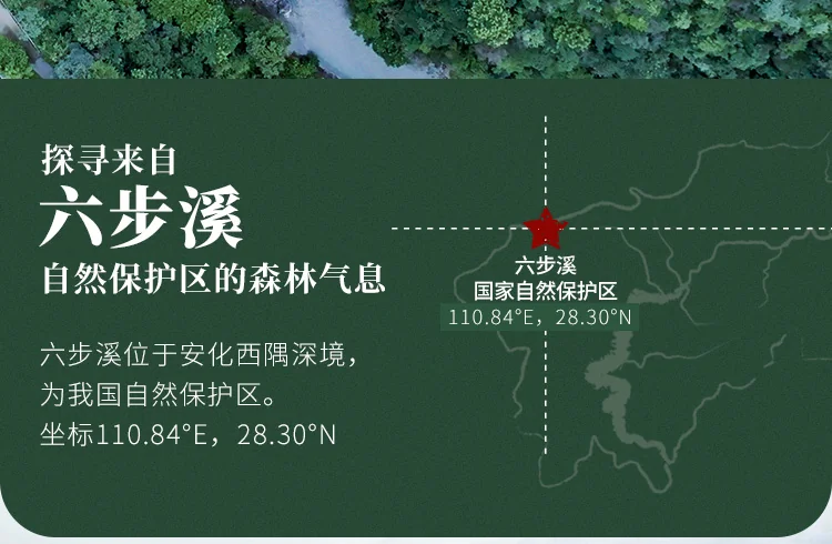 Baishaxi Anhua Dark Tea Six-Step Exquisite Tianjian Thin Slices 60g detail image 5