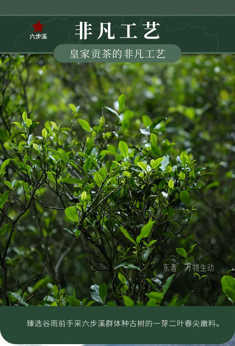Baishaxi Anhua Dark Tea Six-Step Exquisite Tianjian Thin Slices 60g detail image 9