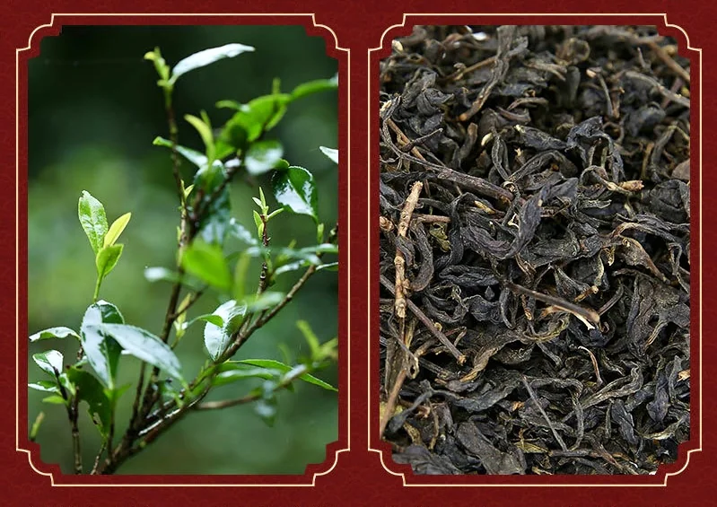 Baishaxi Anhua Dark Tea - Get Rich Immediately - Year of the Horse Commemorative Zodiac Brick (1000g) detail image 2