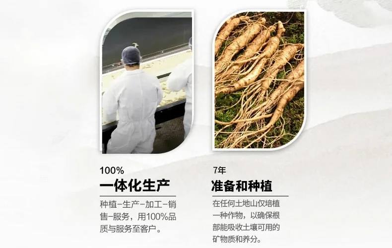Baumann花旗参段 美国西洋参 长枝 去边角 详情图 6