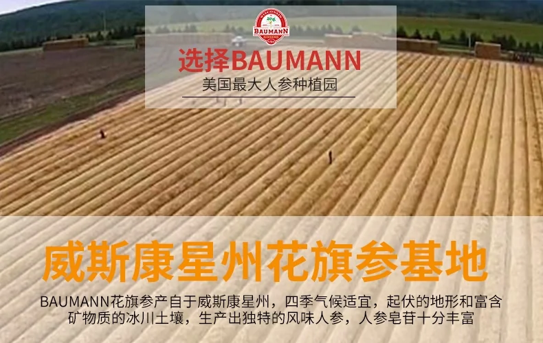 BAUMANN Wisconsin American Ginseng Sliced Medium,130g detail image 5