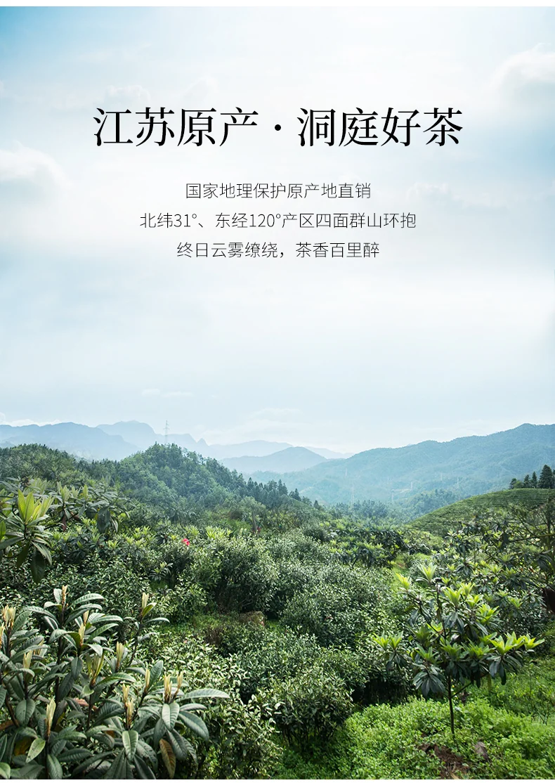 碧螺 2026年上市绿茶臻品苏州洞庭碧螺春 特级一等 50g 明前新茶送人礼盒 详情图 4