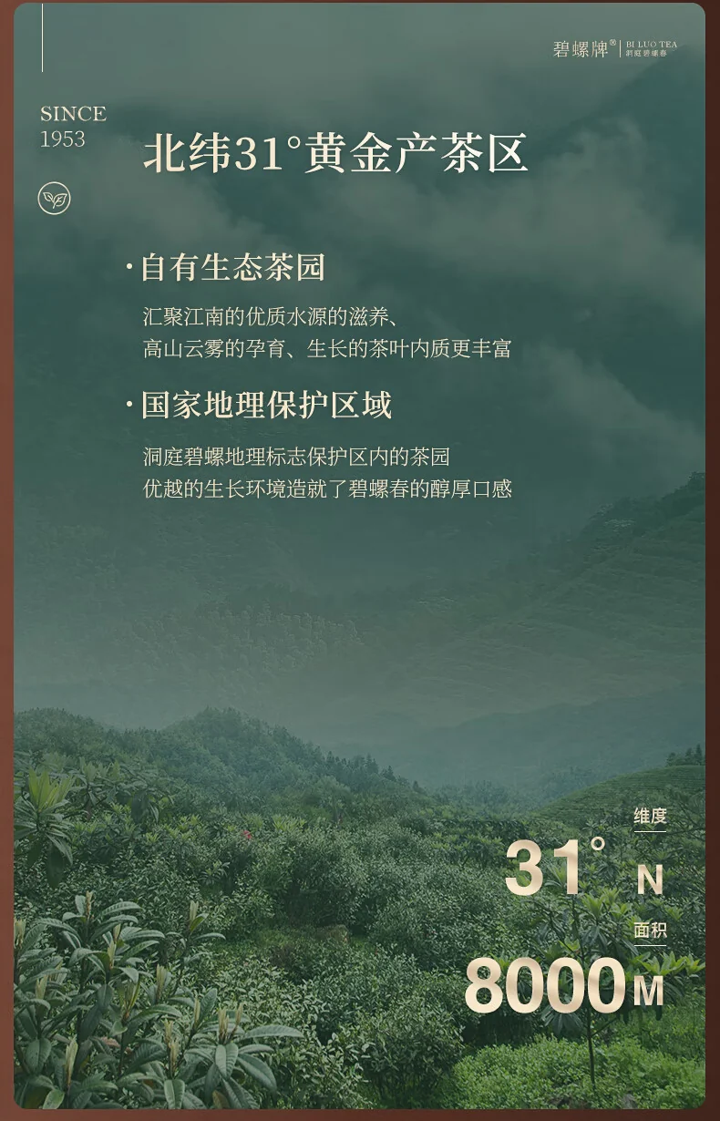 碧螺 2026年春茶绿茶国韵碧螺春东山茶厂 一级5A 120g 明前新茶送人礼盒装 详情图 5