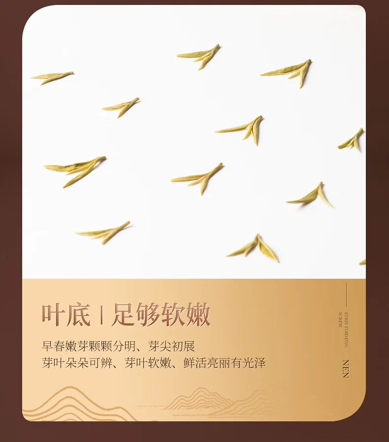 Biluochun 2026 Spring Green Tea, Suzhou Dongting Biluochun, Premium Grade 1, 180g, Pre-Qingming New Tea Gift Box detail image 12