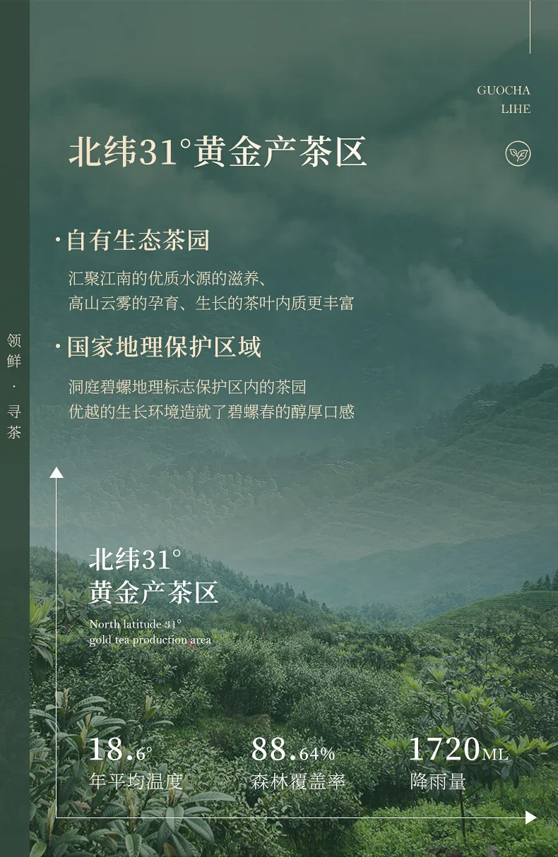 Biluochun 2026 Spring Green Tea, Suzhou Dongting Biluochun, Premium Grade 1, 180g, Pre-Qingming New Tea Gift Box detail image 8