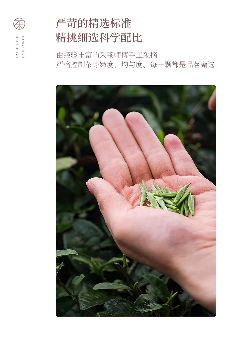 碧螺 2026年春茶绿茶御赐初芯苏州洞庭碧螺春 特级一等50g  明前新茶礼盒 详情图 14
