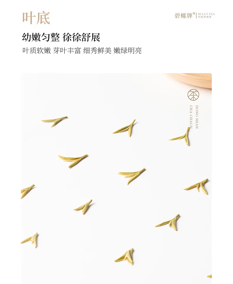 碧螺 2026年春茶绿茶御赐初芯苏州洞庭碧螺春 特级一等50g  明前新茶礼盒 详情图 18