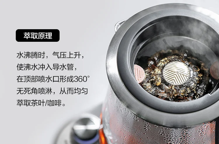 Buydeem steam extraction teapot, office professional extraction mini tea coffee, multi-function health pot, 1.5L detail image 4