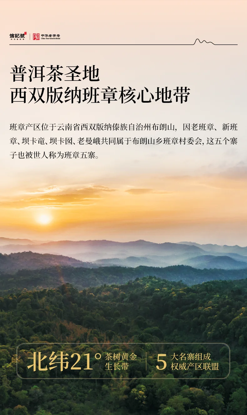 【中国直邮，时效7-15天】八马茶业 信记号普洱茶 班章10年生普64g2012年盒装茶叶送礼 detail image 2