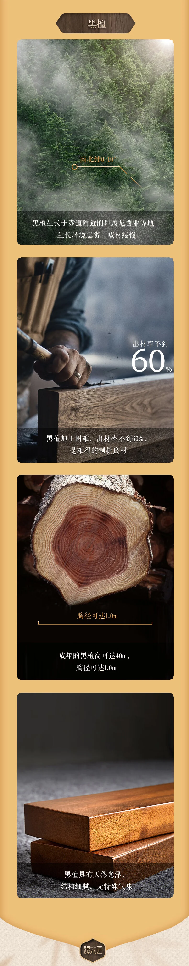 【中国直邮，时效8-20天】谭木匠古风发饰头饰现代简约盘发黑檀木发簪子 萌芽 detail image 5