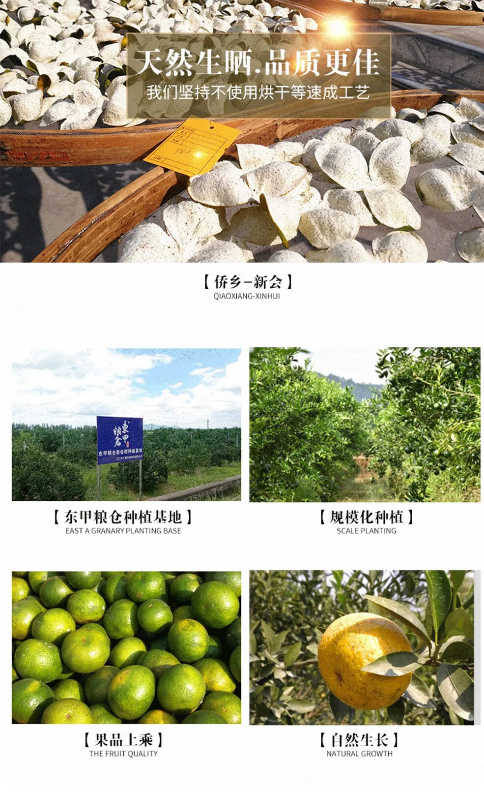 【Direct shipping from China, 10-15 days】Dongjia Granary 10 Years Old Dried Xinhui Citrus Peel 40g * 1 box detail image 6