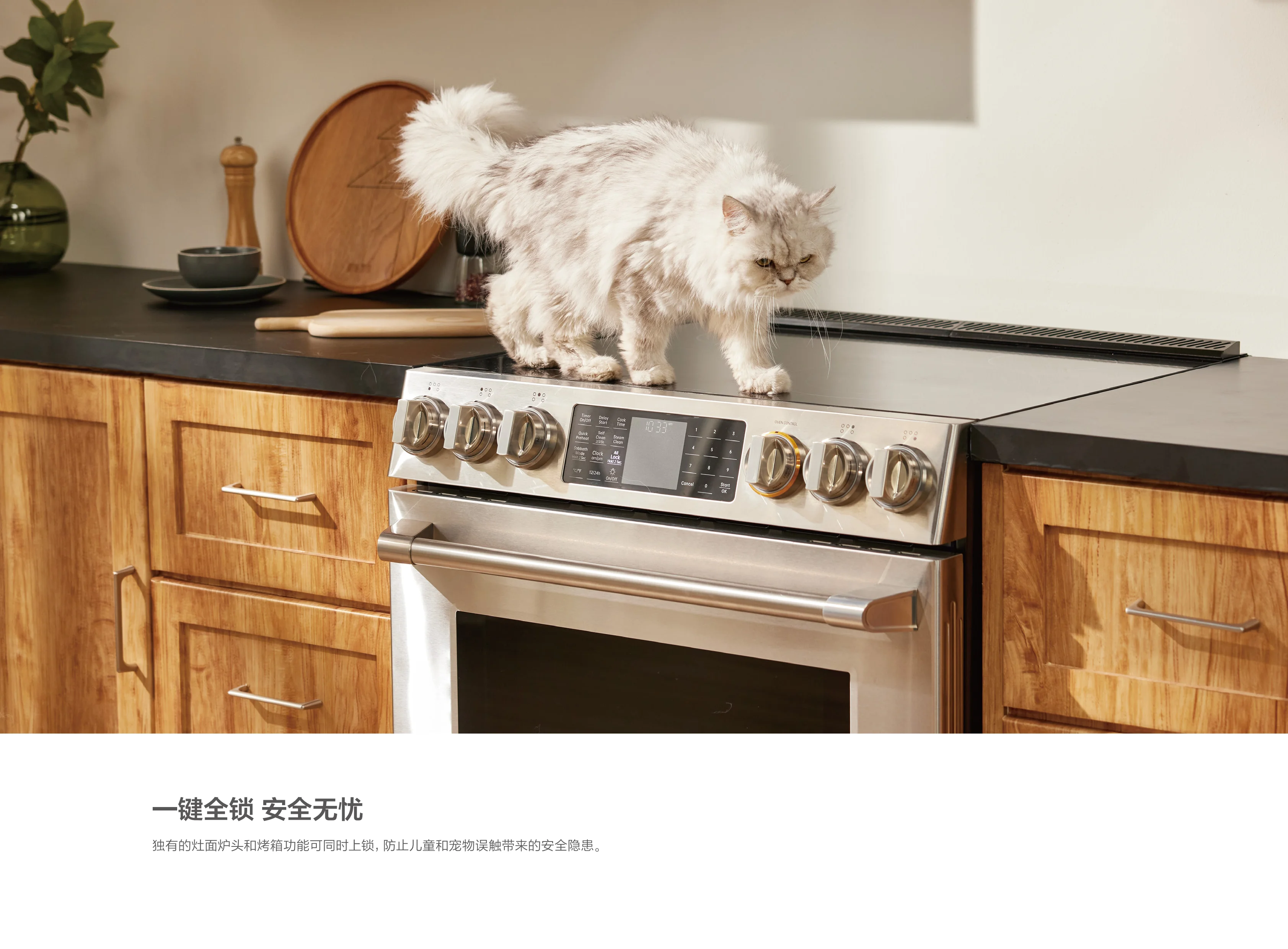 【有赠品】方太FreshBake™/标准版 | 30" 电灶烤箱 RES30552/RES30551 健康烹饪新体验 detail image 15