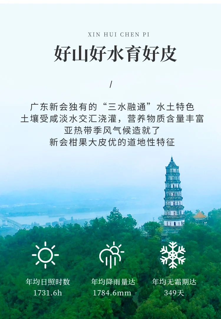 【中国直邮，时效7-15天】柑柑好 新会陈皮 新会陈皮鎏金系列五年陈皮250g装送礼泡饮 detail image 7