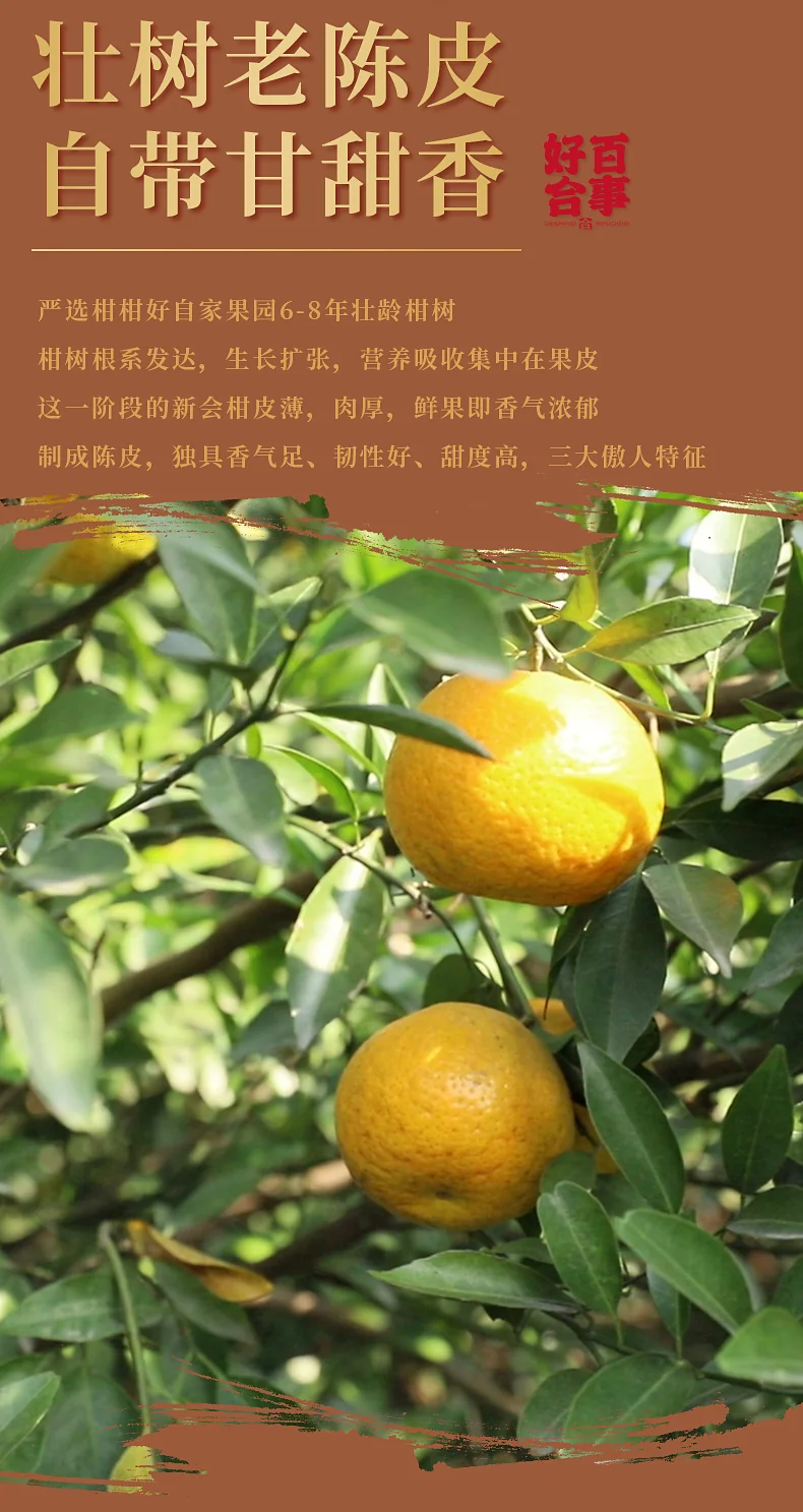 【中国直邮，时效5-12天】柑柑好 广东新会陈皮好合系列八年陈皮罐装200克礼盒装 detail image 5