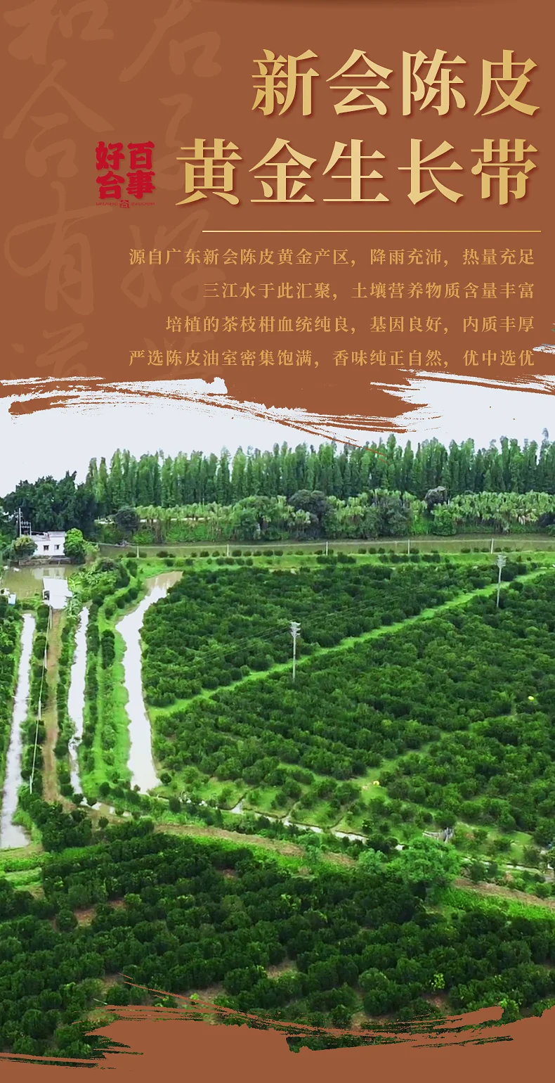 【中国直邮，时效5-12天】柑柑好 广东新会陈皮好合系列八年陈皮罐装200克礼盒装 detail image 7