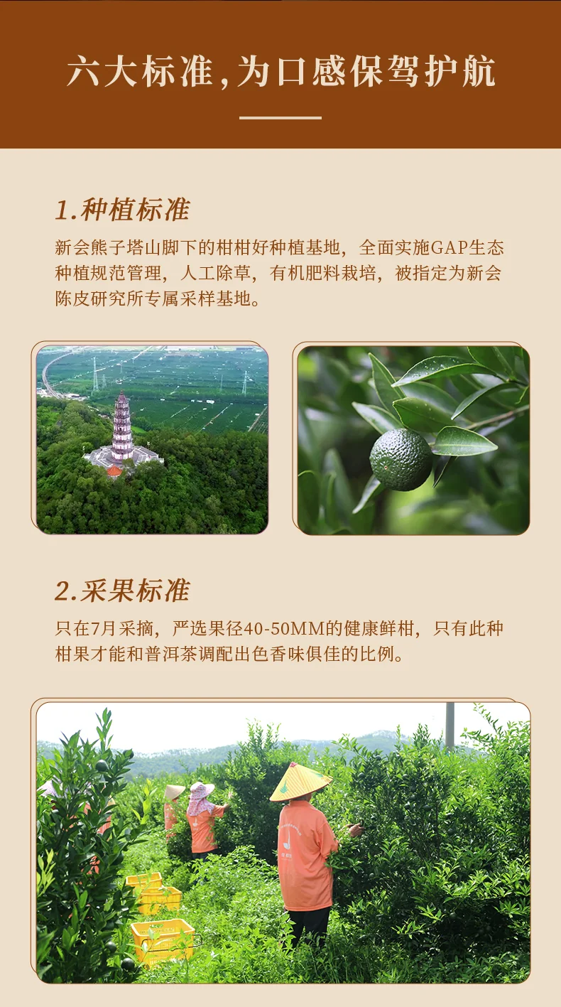 【中国直邮，时效5-12天】柑柑好 新柑普洱五星小青柑罐装250克广东江门新会小青柑普洱茶叶 detail image 11