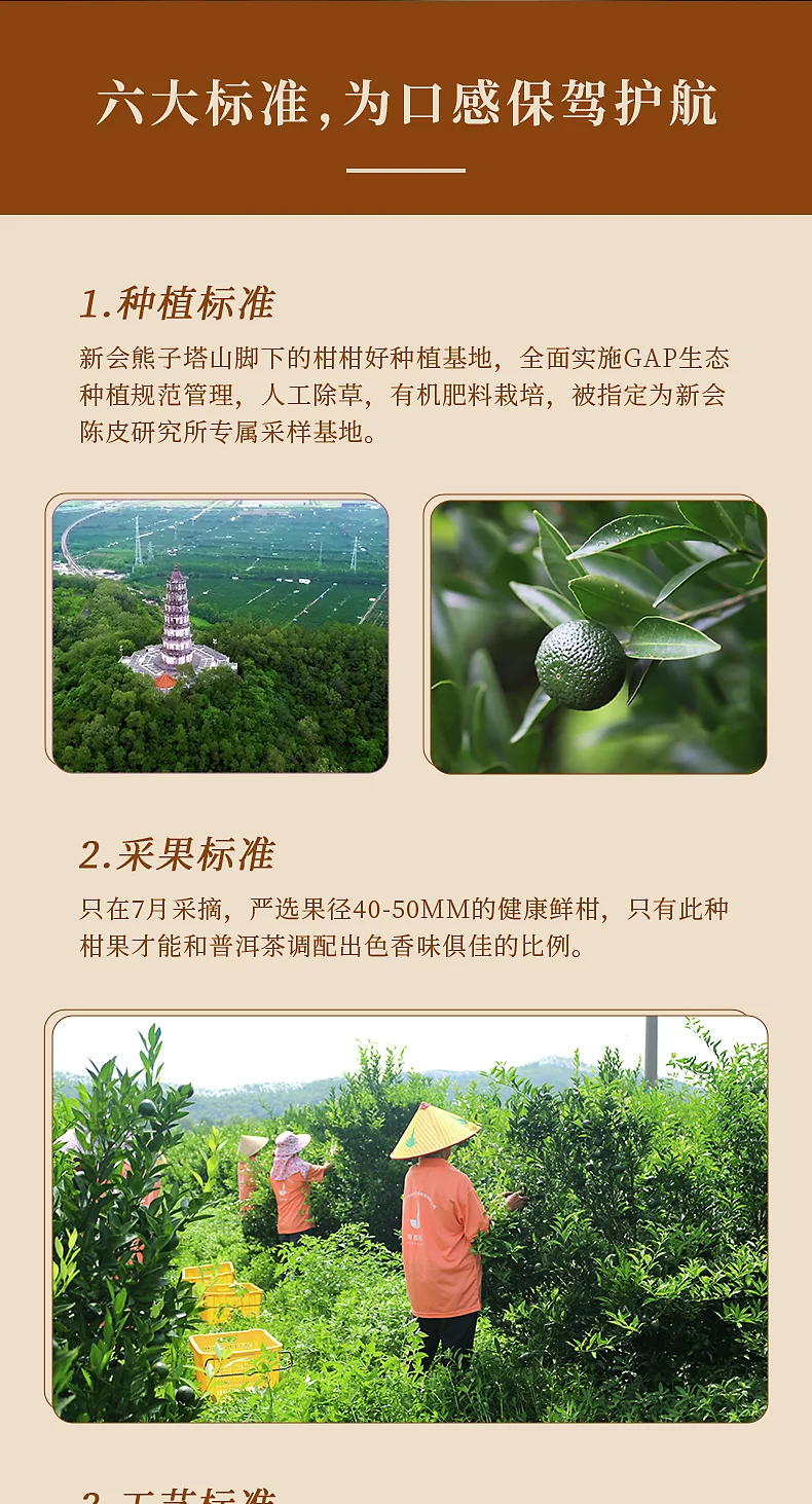 【中国直邮，时效7-15天】柑柑好 新柑白茶250g 印象2.0新会小青柑白茶寿眉茶叶 detail image 9