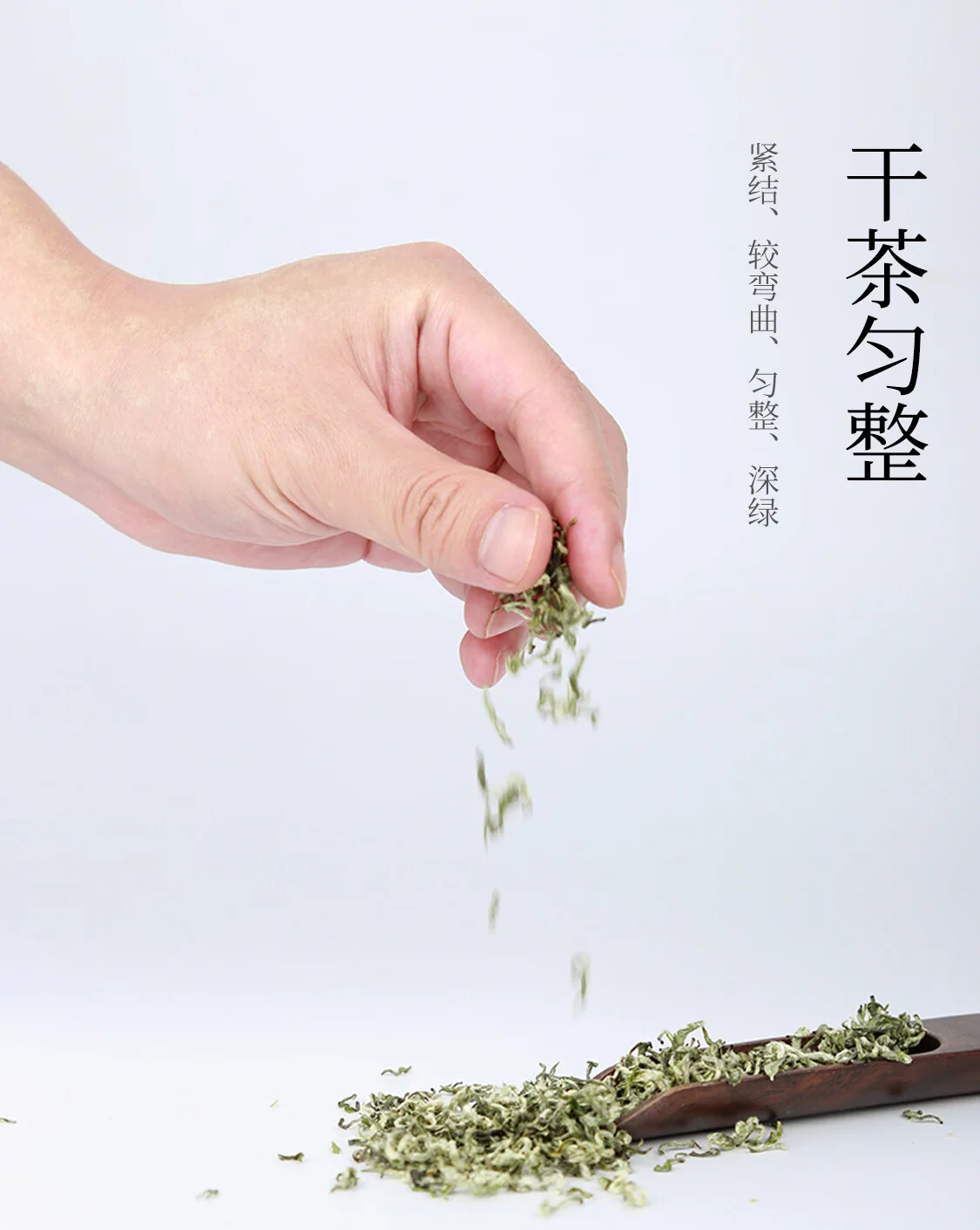 【中国直邮，时效7-15天】贵天下 2026明前新茶绿茶 都匀毛尖绿茶叶珍品贵州特产云雾茗茶100克 详情图 3