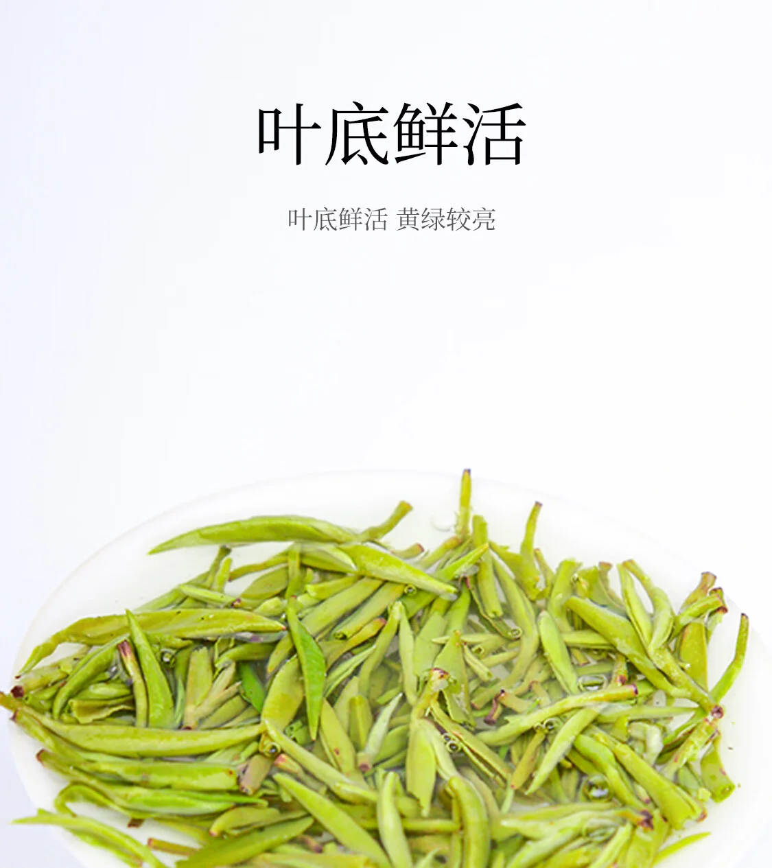 【中国直邮，时效7-15天】贵天下 2026明前新茶绿茶 都匀毛尖绿茶叶珍品贵州特产云雾茗茶100克 详情图 5