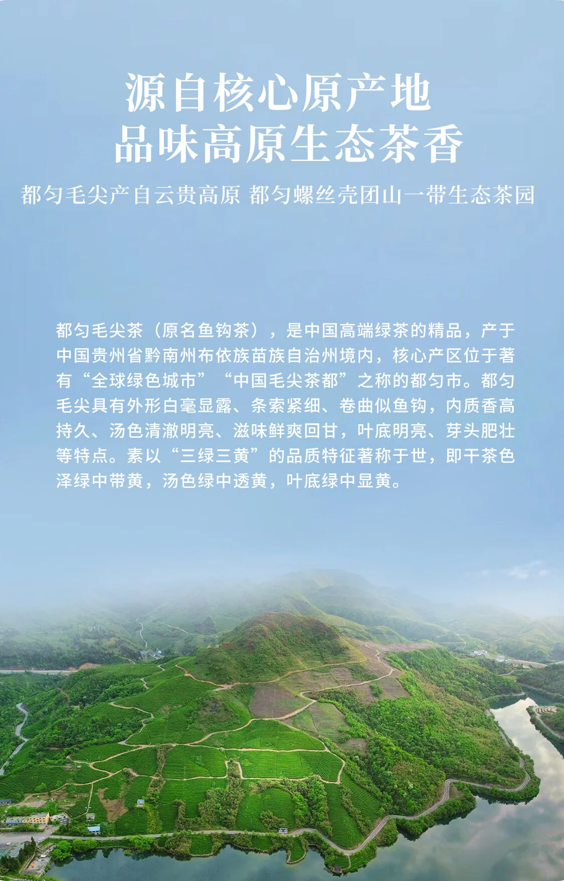 【中国直邮，时效7-15天】贵天下 2026明前新茶绿茶 都匀毛尖绿茶叶珍品贵州特产云雾茗茶100克 详情图 6
