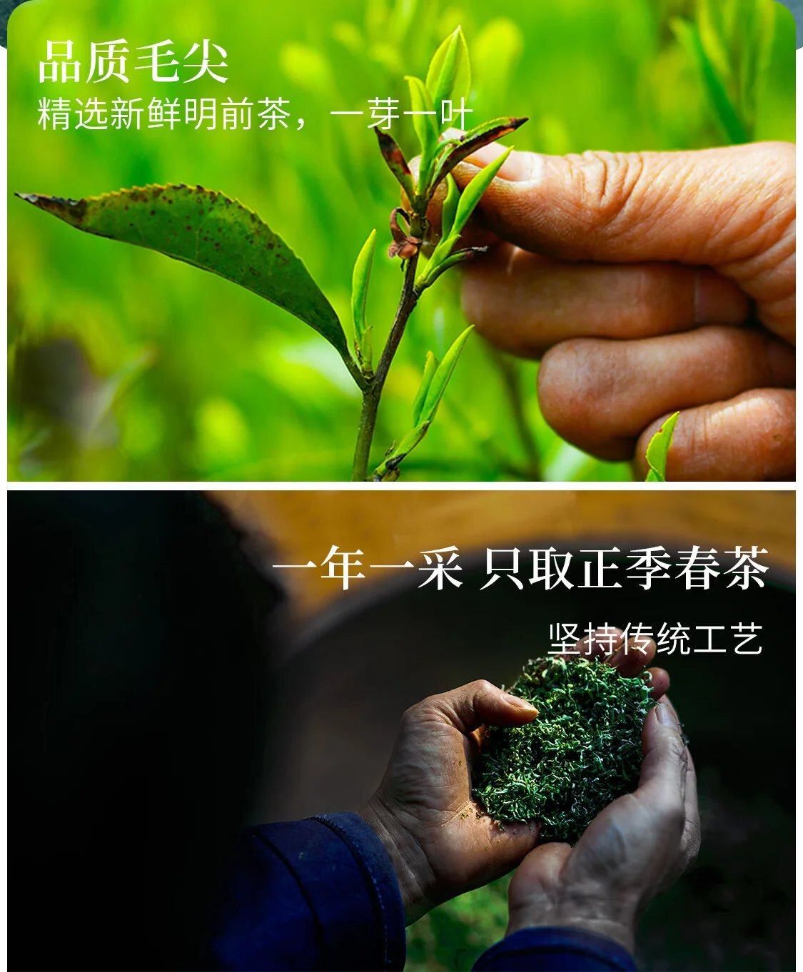 【中国直邮，时效7-15天】贵天下 2026明前新茶绿茶 都匀毛尖绿茶叶珍品贵州特产云雾茗茶100克 详情图 8