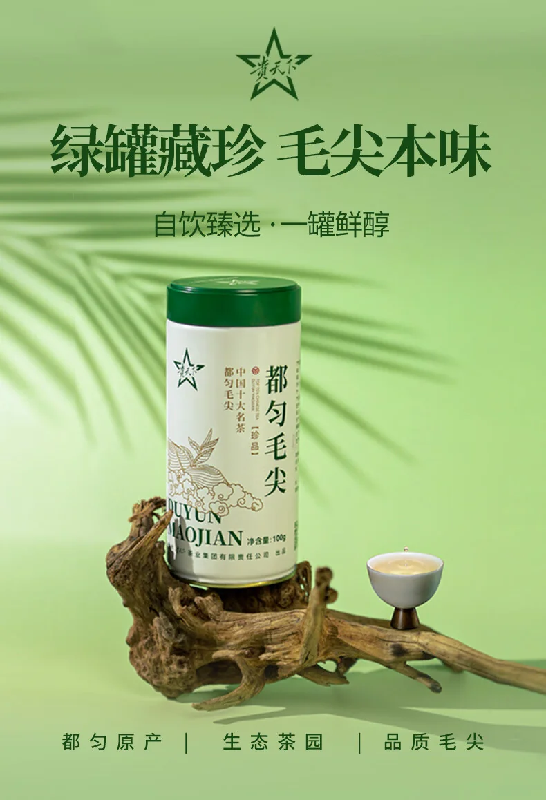 【中国直邮，时效7-15天】贵天下 2026明前新茶绿茶 都匀毛尖绿茶叶珍品茗茶芽茶贵州高山云雾100克 detail image 1