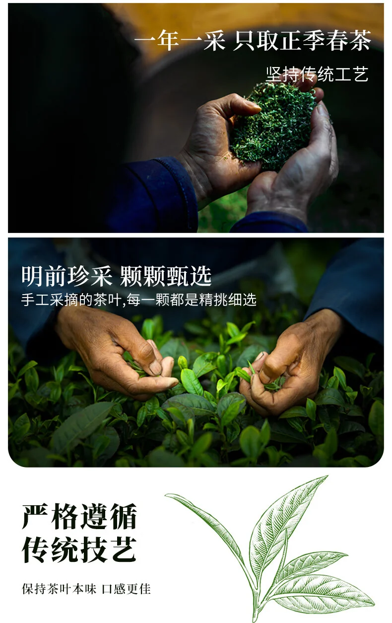 【中国直邮，时效7-15天】贵天下 2026明前新茶绿茶 都匀毛尖绿茶叶珍品茗茶芽茶贵州高山云雾100克 detail image 7