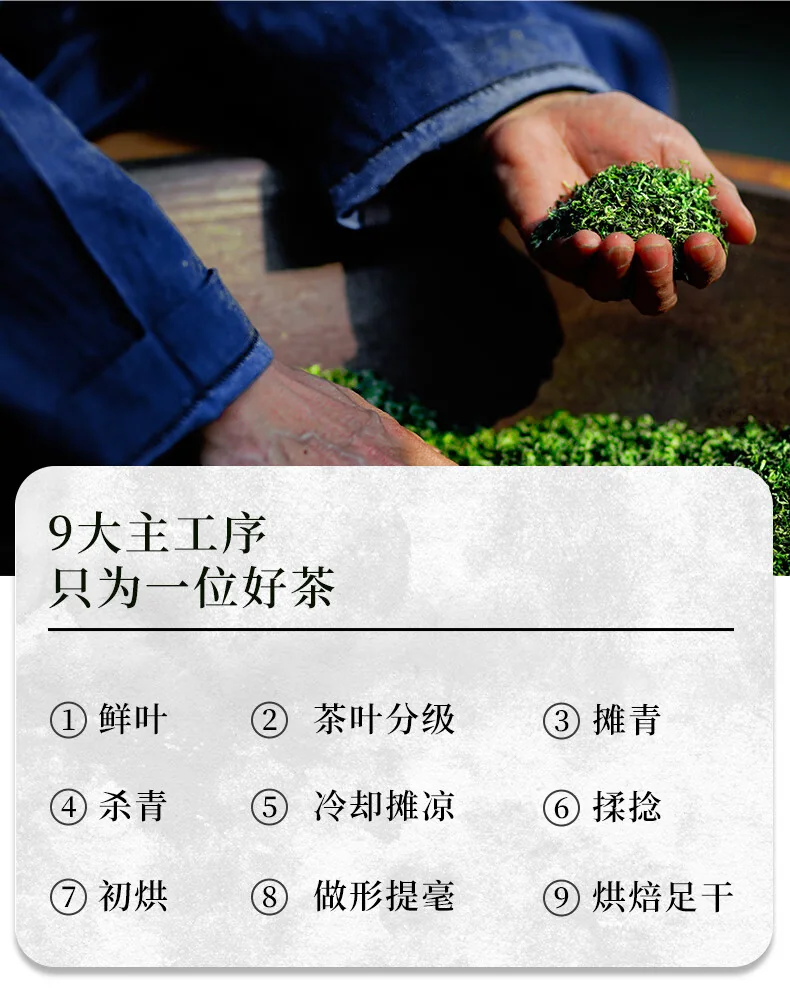 【中国直邮，时效7-15天】贵天下 2026明前新茶绿茶 都匀毛尖绿茶叶珍品茗茶芽茶贵州高山云雾100克 detail image 8