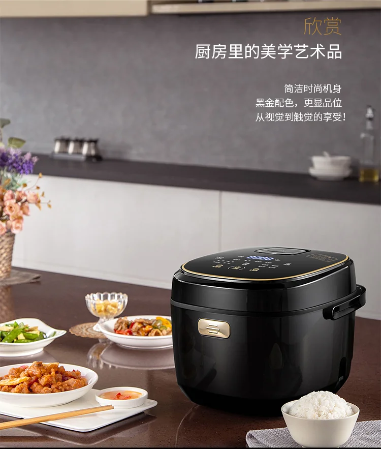 JOYDEEM FD30AE CERAMIC ELECTRIC RICE COOKER, 3L detail image 12