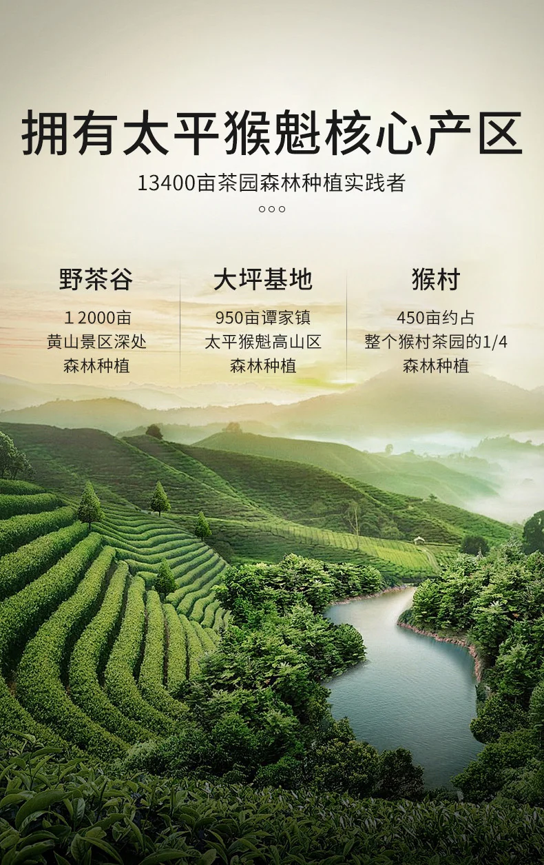 【中国直邮，时效7-15天】六百里 2026年新茶绿茶 太平猴魁茶叶猴坑手工特级50g绿茶 详情图 7