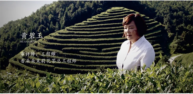 Pinpin fragrant tea, fragrant blossoming jasmine tea, jasmine Xuehao, 105g, teabag (3.5g*30 packs) detail image 6