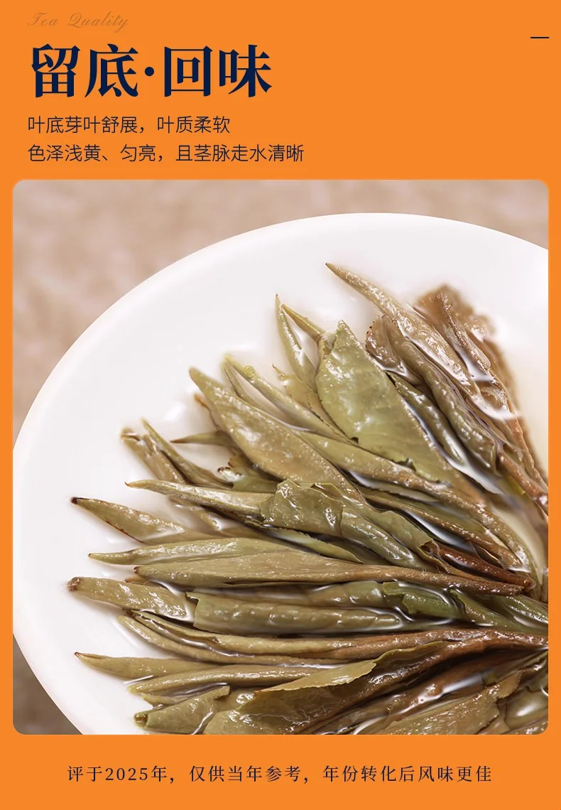 品品香茶叶 福鼎白茶丝路2022年老白茶白牡丹茶叶礼盒装120g detail image 11