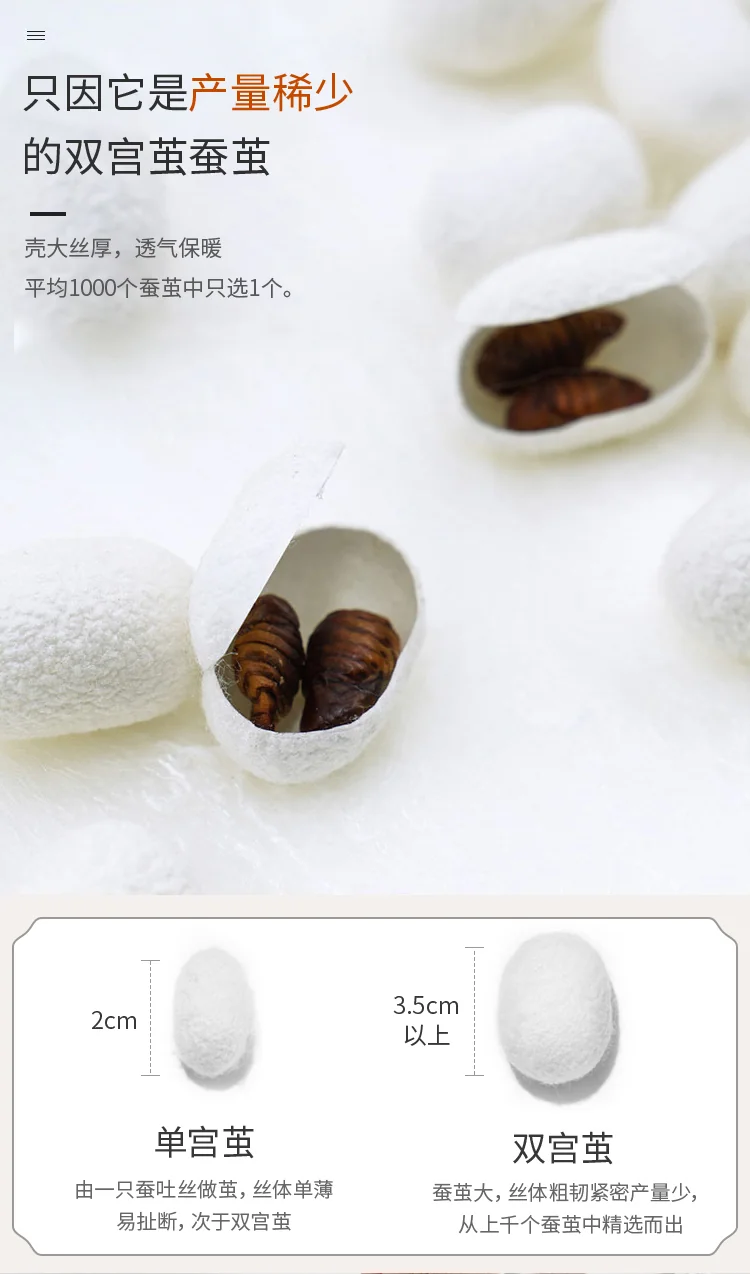 【中国直邮，时效8-20天】钱皇 100%双宫茧桑蚕长丝被 星河璀璨系列 优中选精 220*240cm 1500g 详情图 3