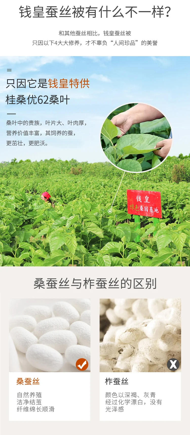 【中国直邮，时效8-20天】钱皇 100%双宫茧桑蚕长丝被 星河璀璨系列 优中选精 220*240cm 1500g 详情图 4