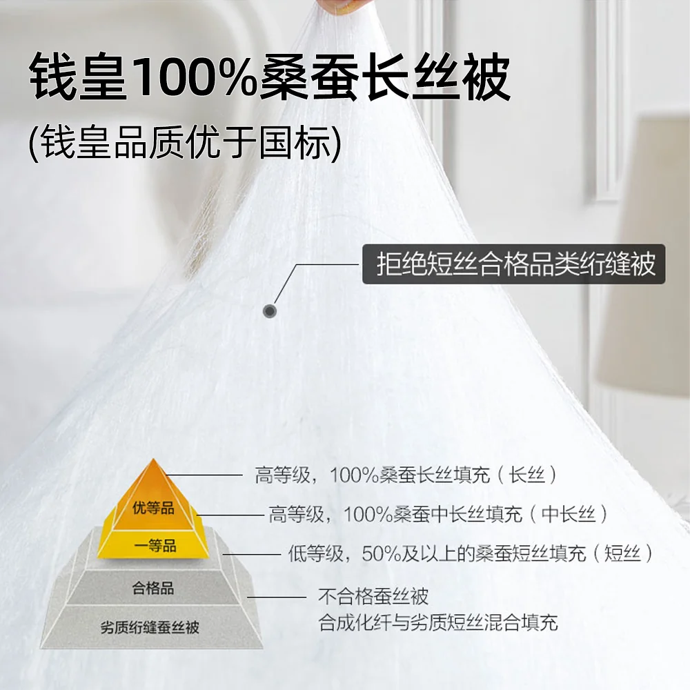 【中国直邮，时效8-20天】钱皇 100%双宫茧桑蚕长丝被 星河璀璨系列 优中选精 220*240cm 1500g 详情图 5