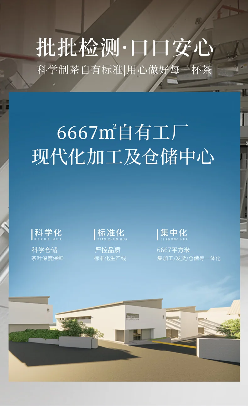 狮峰牌2026年新茶茶叶绿茶明前特级精品西湖龙井罐装50g-润字罐 detail image 5