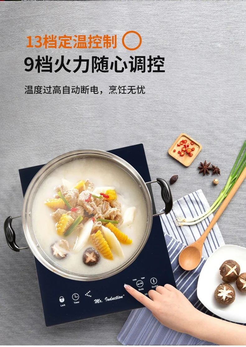 SPT尚朋堂 家用电磁炉 SR-1882 智能定时 9档火力可调 触摸面板 1650W 详情图 4