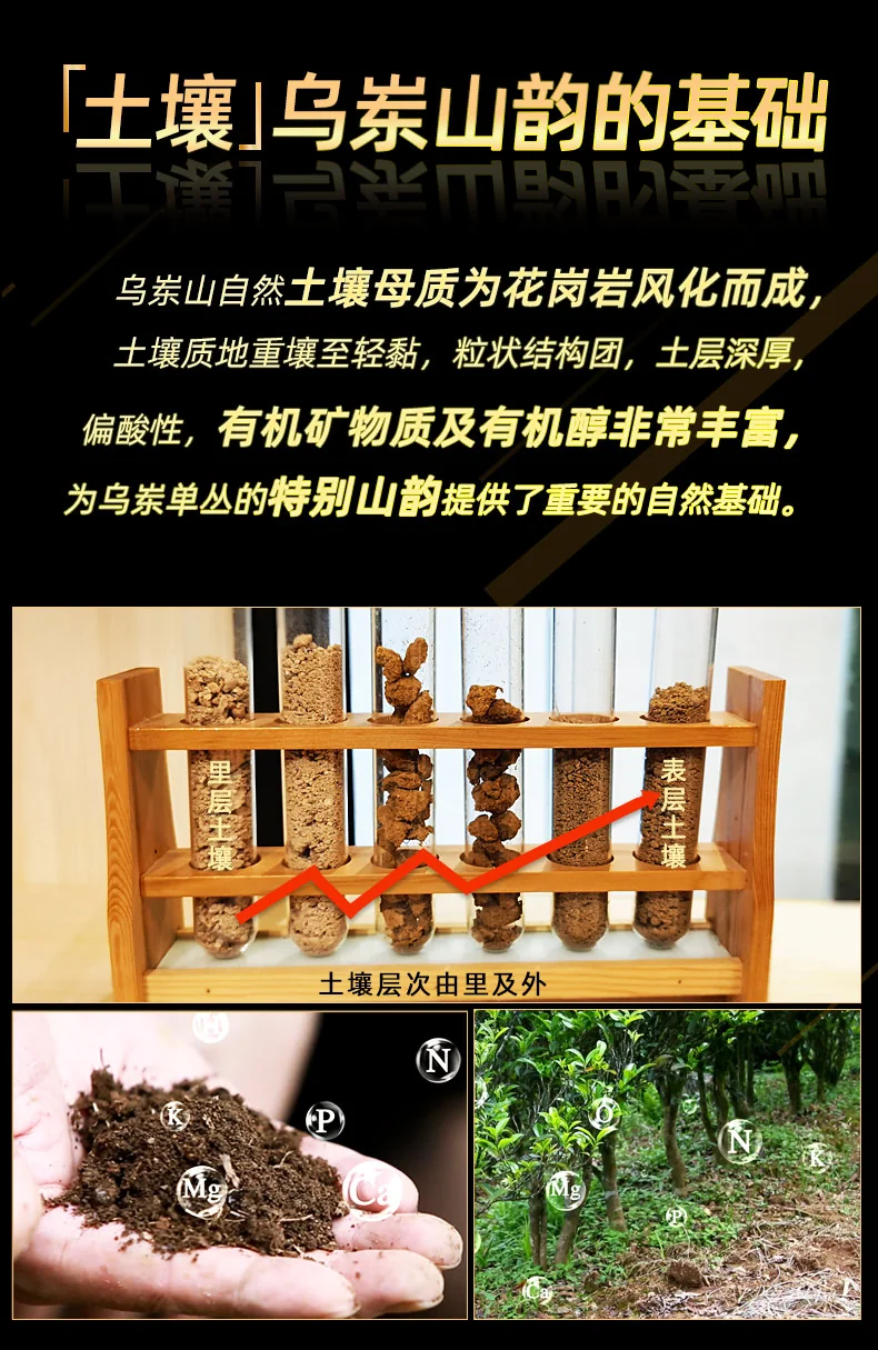 【中国直邮，时效7-15天】天池茶业 1392天池凤凰单枞七彩芝兰香 正宗潮州特级单丛乌龙茶乌岽芝兰香100g*1罐 详情图 7