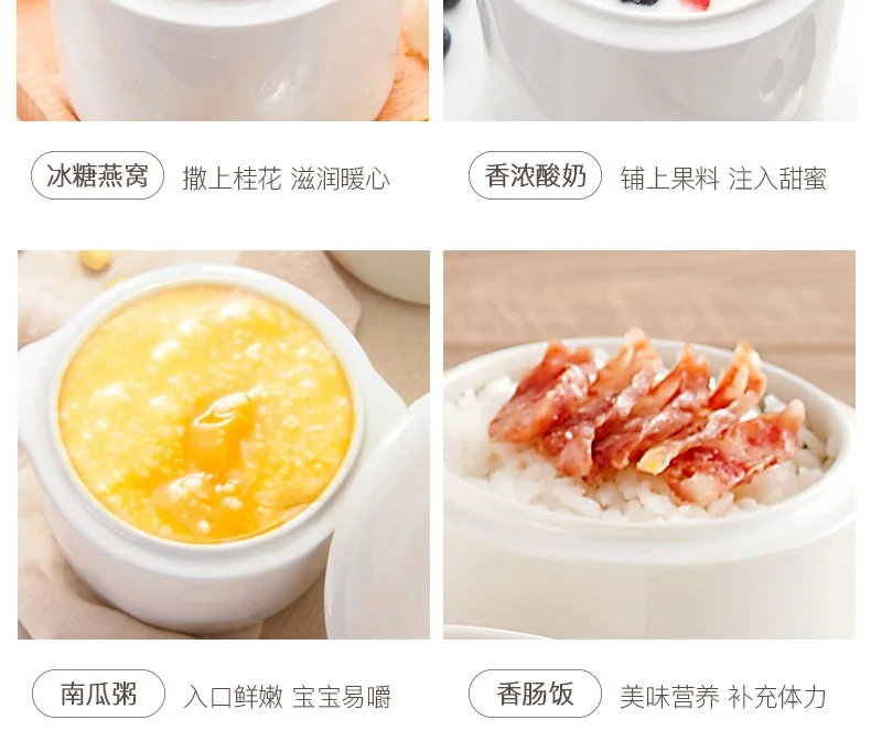 TIANJI DDZ-16BWS Mini Stew Pot detail image 13