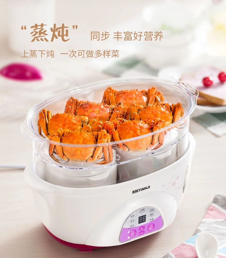TIANJI DDZ-16BWS Mini Stew Pot detail image 3