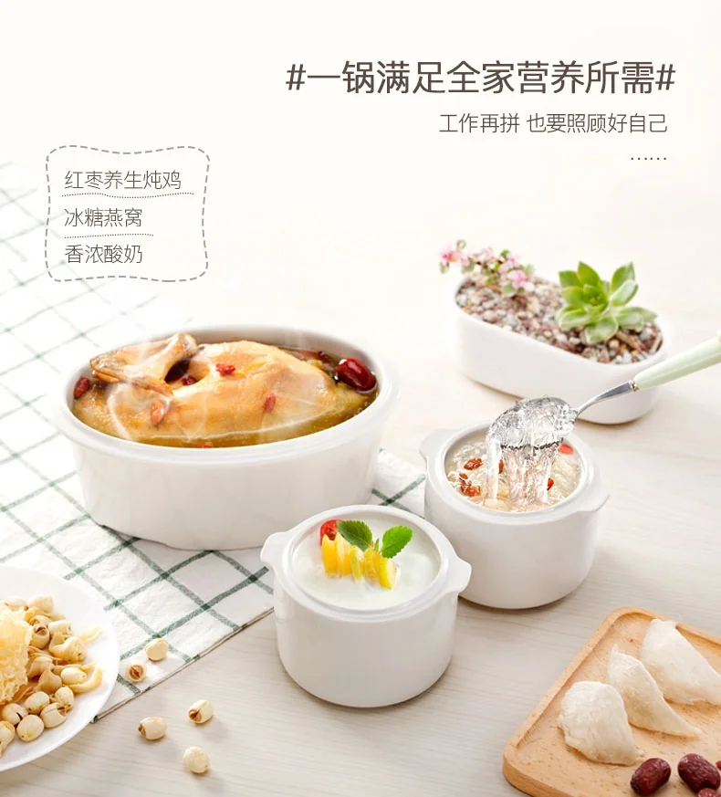 TIANJI DDZ-16BWS Mini Stew Pot detail image 5