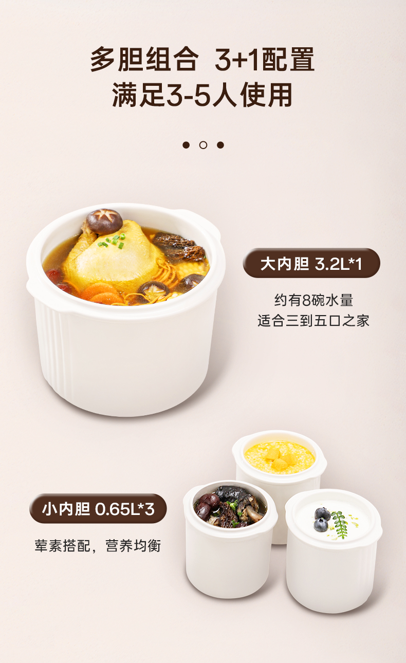 Tianji天际隔水电炖锅DGD32-32CG产品图