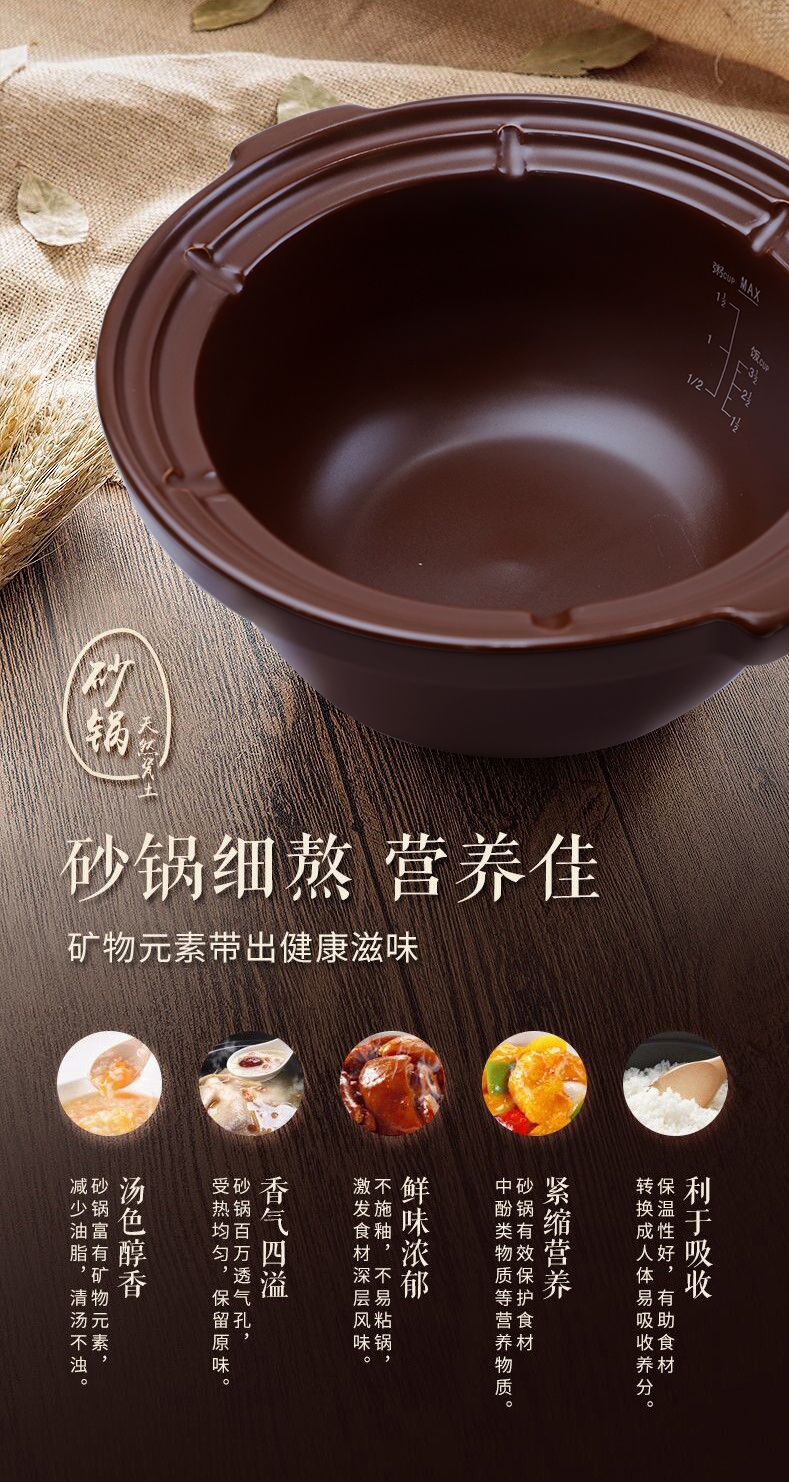 天际电砂锅DSG-TZ30产品图